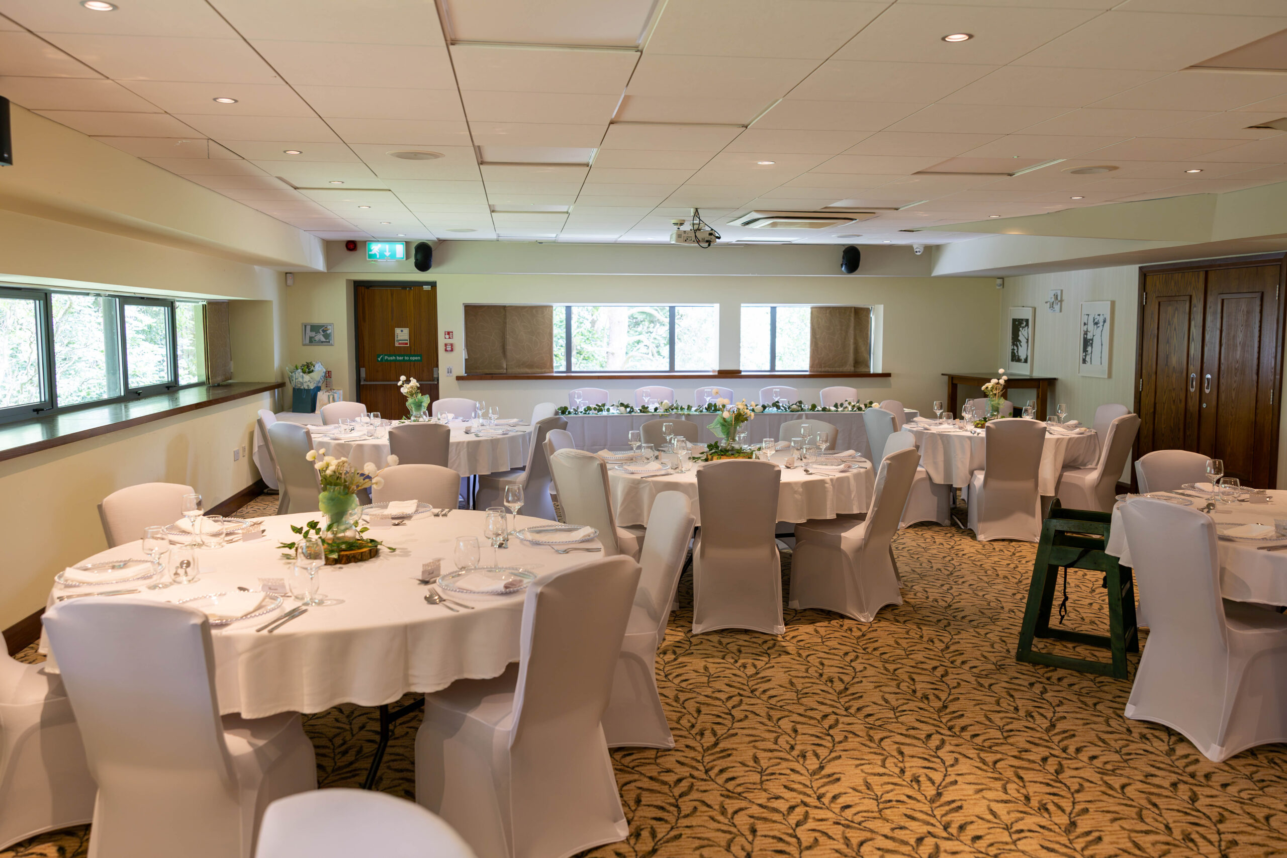 The Forest Suite